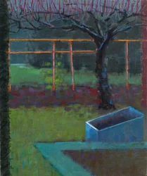 Jabloň, pozdní zima